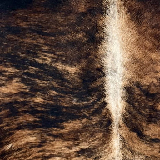Closeup of this Colombian Brindle Cowhide, showing brown with black, brindle markings, and white down the spine  (COBR1713)