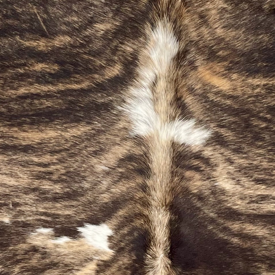 Closeup of this Colombian Brindle Cowhide, showing light brown with dark brown, brindle markings, and a couple small, white spots down the middle (COBR1714)