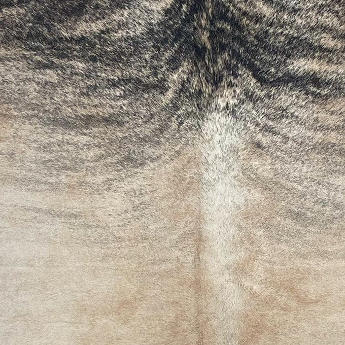Closeup of this Large Colombian Brindle Cowhide, showing light brown with black, brindle markings on the shoulder (COBR1716)