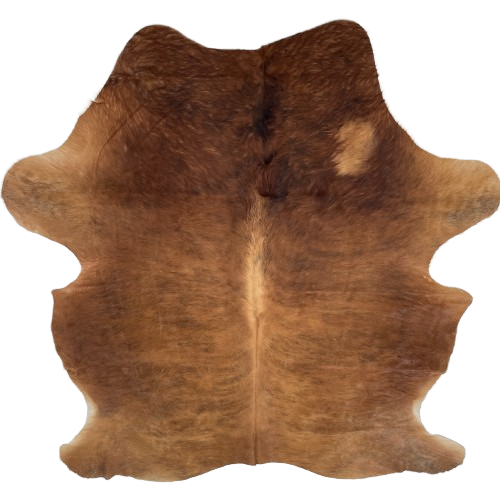 Golden Brown and Black Colombian Brindle Cowhide: golden brown with faint, black, brindle markings, and longer hair on the shoulder - 7'4" x 5'7" (COBR1719)