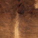 Closeup of this Colombian Brindle Cowhide, showing golden brown with faint, black, brindle markings, and longer hair on the shoulder (COBR1719)