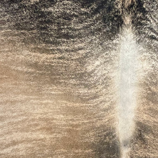 Closeup of this Colombian Brindle Cowhide, showing light brown with black and brown, bridle markings  (COBR1720)