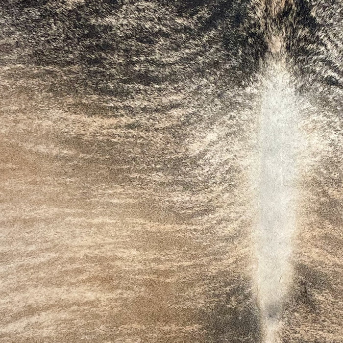Closeup of this Colombian Brindle Cowhide, showing light brown with black and brown, bridle markings  (COBR1720)