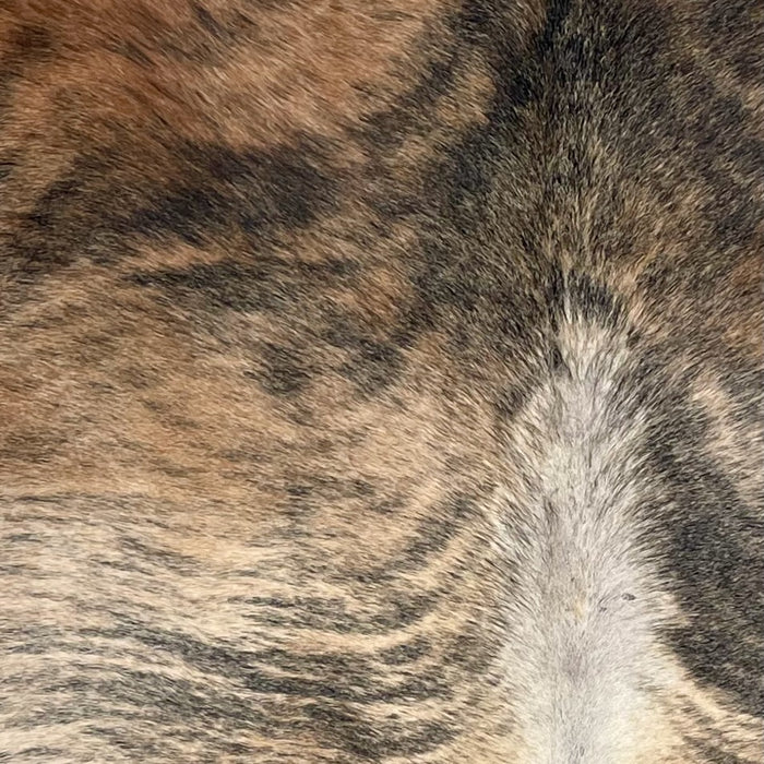 Closeup of this Large Colombian Brindle Cowhide, showing reddish brown and light brown with black, brindle markings  (COBR1722)