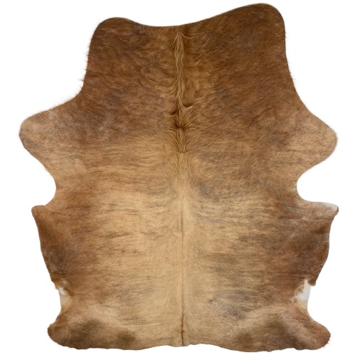 Brown and Gray Colombian Brindle Cowhide: reddish brown and light brown with faint, gray brindle markings, and long hair down the middle of the shoulder - 7'1" x 5'4" (COBR1724)