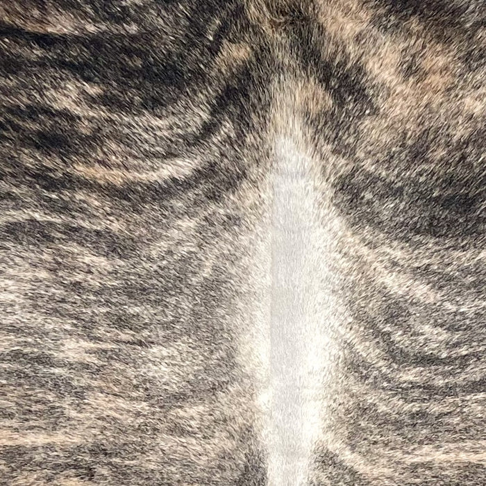 Closeup of this Colombian Brindle Cowhide, showing light beige with black, brindle markings, and white down the spine (COBR1725) 