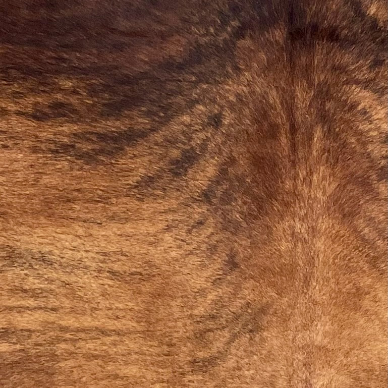 Closeup of this Colombian Brindle Cowhide, showing red brown with black, brindle markings (COBR1727)