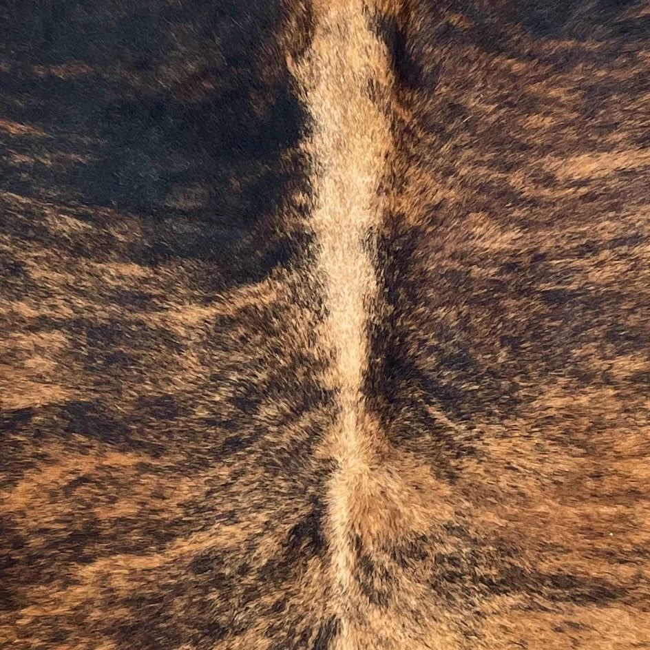 Closeup of this Colombian Brindle Cowhide, showing reddish brown with black, brindle markings, and lighter brown down the spine (COBR1728)