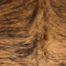 Closeup of this Colombian Brindle Cowhide, showing brown with black, brindle markings, and longer hair down the spine (COBR1729)