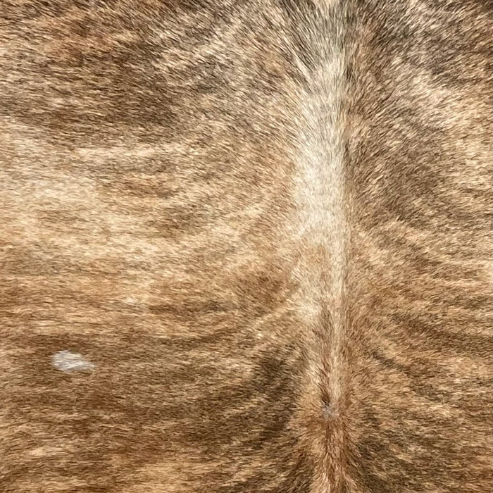 Closeup of this Colombian Brindle Cowhide, showing brown with black and darker brown, brindle markings (COBR1730)