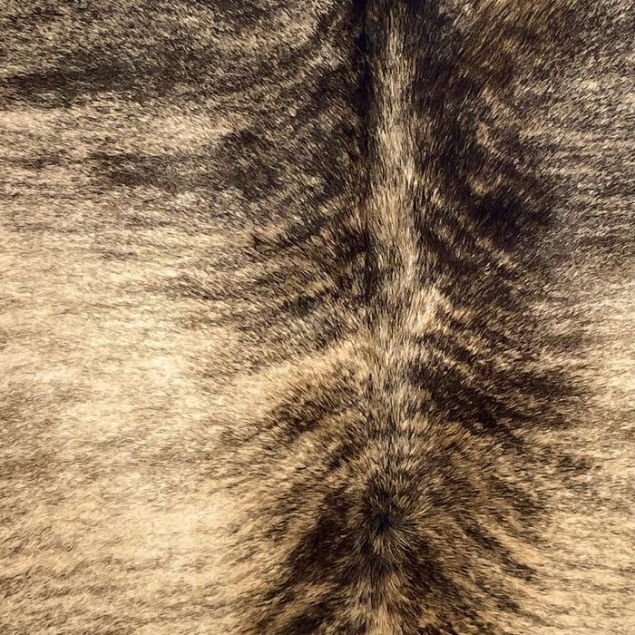 Closeup of this Colombian Brindle Cowhide, showing very light brown with black, bridle markings (COBR1731)