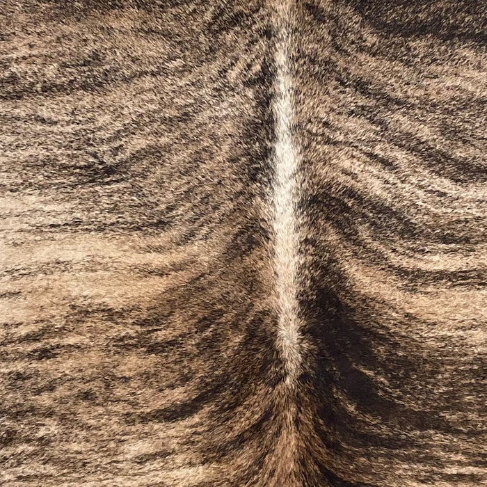 Closeup of this Colombian Brindle Cowhide, showing light tan and brown with black, brindle markings  (COBR1732)