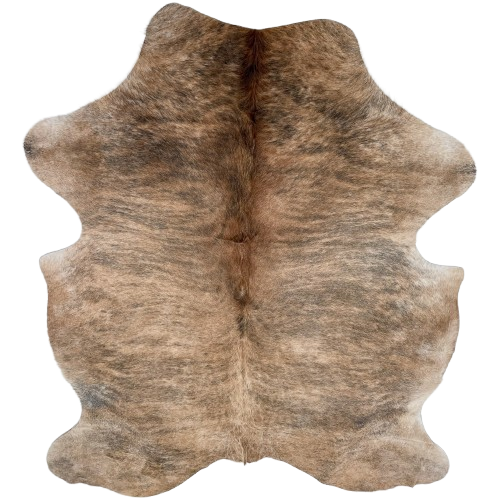 Light Tan and Black Colombian Brindle Cowhide: light tan with black, brindle markings, and longer, reddish brown hair down part of the spine - 6'6" x 4'11" (COBR1734)