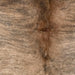 Closeup of this Colombian Brindle Cowhide, showing light tan with black, brindle markings, and longer, reddish brown hair down part of the spine  (COBR1734)
