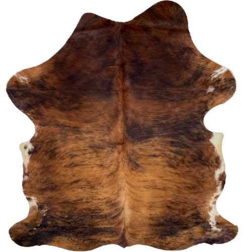 Red Brown and Black Colombian Brindle Cowhide: red brown with black, brindle markings, and white and off-white spots on the belly - 6'10" x 5'2" (COBR1735)