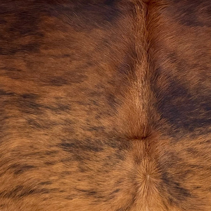 Closeup of this Colombian Brindle Cowhide, showing red brown with black, brindle markings (COBR1735)