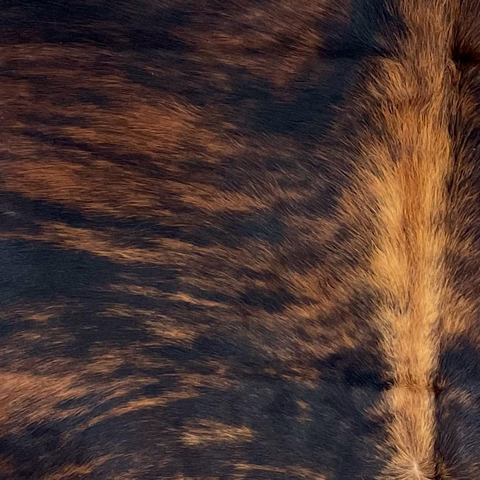 Closeup of this Colombian Brindle Cowhide, showing black with red brown, brindle marking, and red brown down the spine (COBR1736)