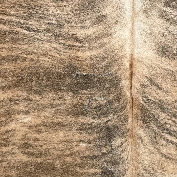 Closeup of this Colombian Brindle Cowhide, showing tan and brown with black, brindle markings (COBR1737)