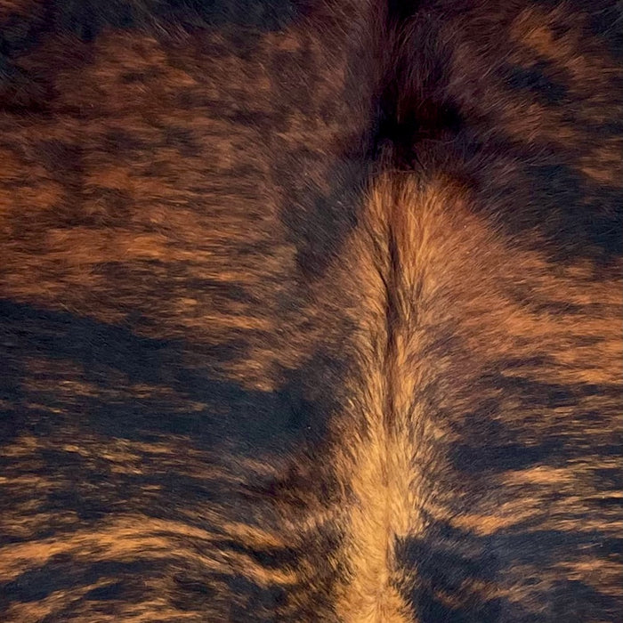 Closeup of this Colombian Brindle Cowhide, showing red brown with black, brindle markings, and long hair down the middle of the shoulder (COBR1738)