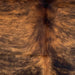 Closeup of this Colombian Brindle Cowhide, showing long hair that is reddish brown with black, brindle markings  (COBR1739)
