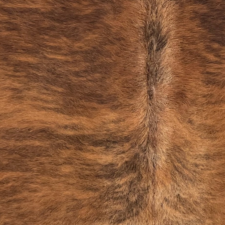 Closeup of this Colombian Brindle Cowhide, showing reddish brown with black, brindle markings (COBR1740)