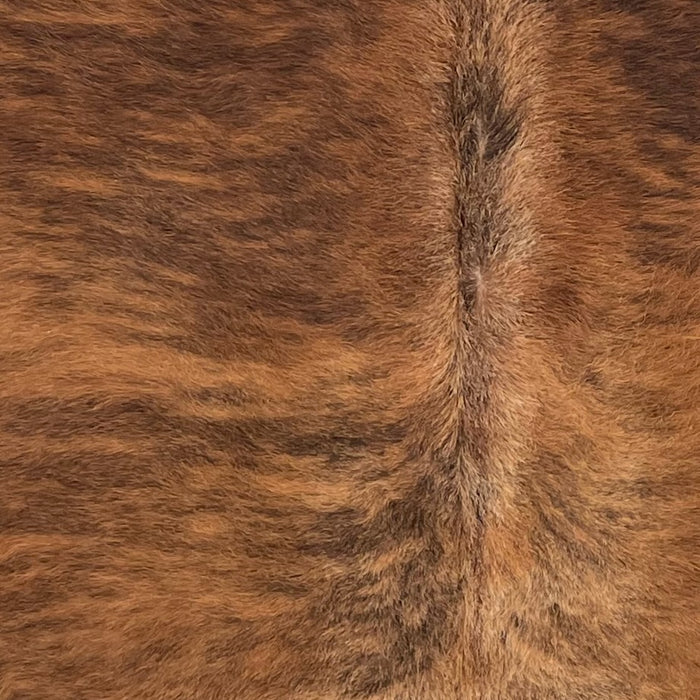 Closeup of this Colombian Brindle Cowhide, showing reddish brown with black, brindle markings (COBR1740)
