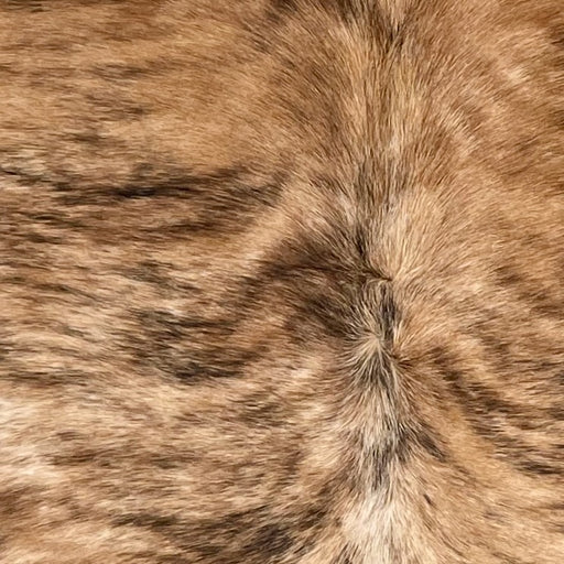 Closeup of t his Colombian Brindle Cowhide, showing brown and tan, with black and dark brown, brindle markings  (COBR1741)