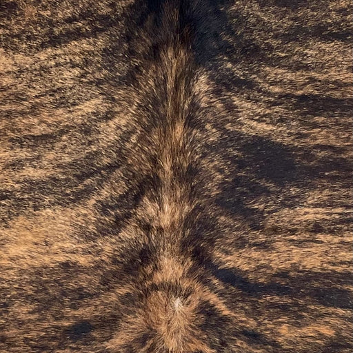 Closeup of this Colombian Brindle Cowhide, showing brown with black, brindle markings  (COBR1743)