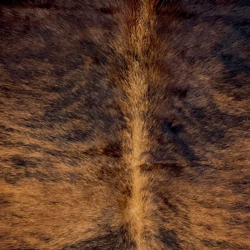 Closeup of this Colombian Brindle Cowhide, showing brown with black, brindle markings (COBR1745)