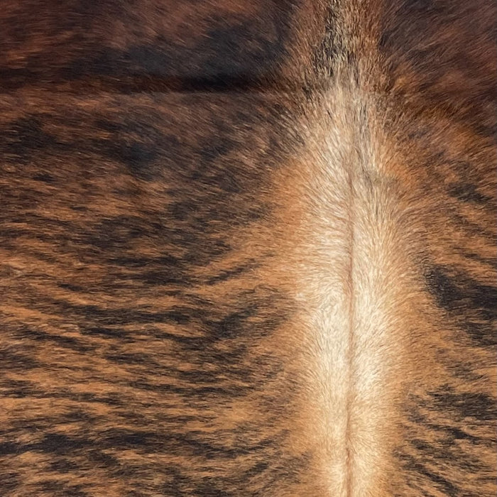 Closeup of this Colombian Brindle Cowhide, showing brown with black, brindle markings, reddish brown on the shoulder, and off-white down part of the spine (COBR1746)