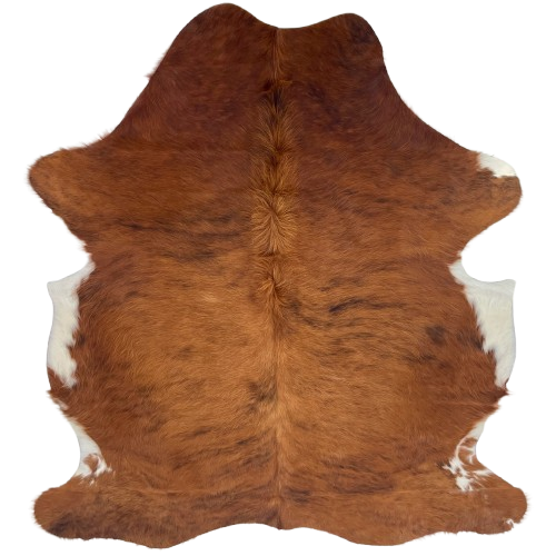 Reddish Brown and Black Brazilian Brindle Cowhide: has long hair reddish brown with black, brindle markings - 6'5" x 4'11" (COBR1747)