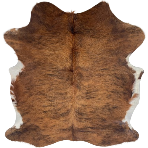 Colombian Brown and Black Brindle Cowhide: has long hair that is brown with black, brindle markings, and white on the belly - 6'1" x 4'11" (COBR1748)