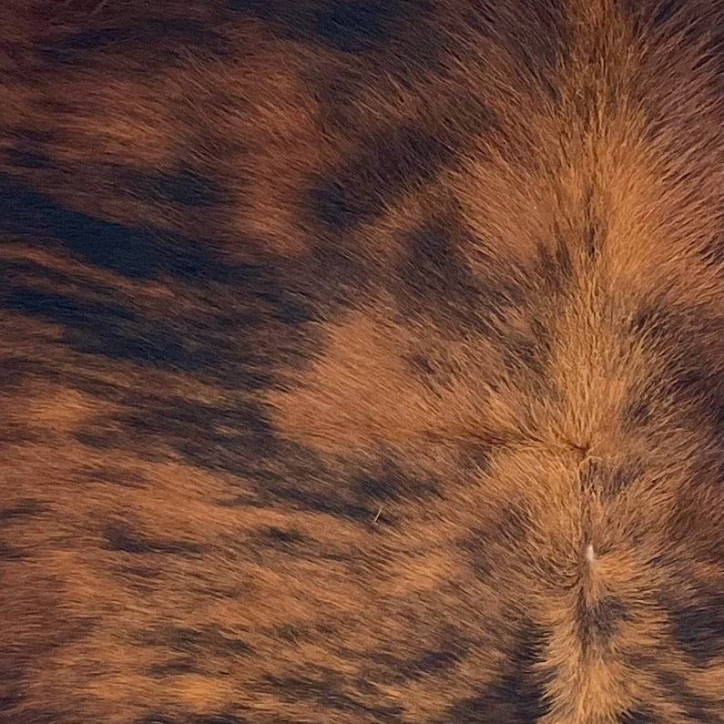 Closeup of this Colombian Cowhide, showing reddish brown with black, brindle markings (COBR1750)