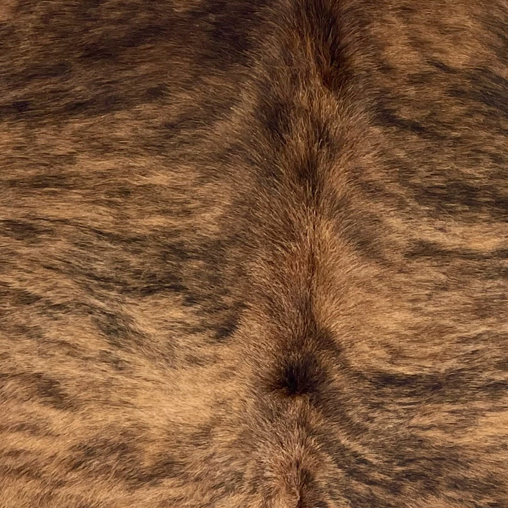 Closeup of this Colombian Brindle Cowhide, showing brown with a black, brindle pattern, and longer hair down the spine  (COBR1751)
