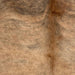 Closeup of this Colombian Brindle Cowhide, showing light reddish brown with black, brindle markings, and longer hair down the spine (COBR1752)