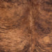 Closeup of this Spotted Colombian Brindle Cowhide, showing reddish brown with black, brindle markings, and longer hair down the spine  (COBR1753)