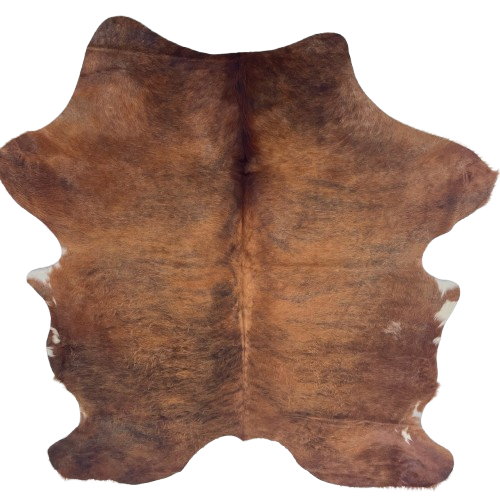 Reddish Brown and Black Colombian Brindle Cowhide: reddish brown with black, brindle markings, white spots on the belly, and long hair on the back, belly, and hind shanks - 7'2" x 5'6" (COBR1755)