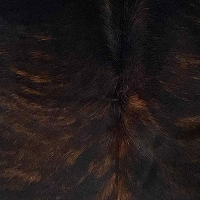 Closeup of this Colombian Brindle Cowhide, showing black with reddish brown, brindle markings (COBR1757)