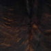 Closeup of this Colombian Brindle Cowhide, showing black with reddish brown, brindle markings (COBR1757)