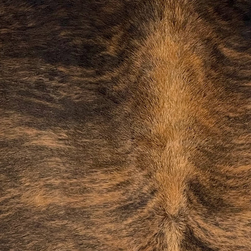 Closeup of this Colombian Brindle Cowhide, showing brown with black, brindle markings (COBR1758)