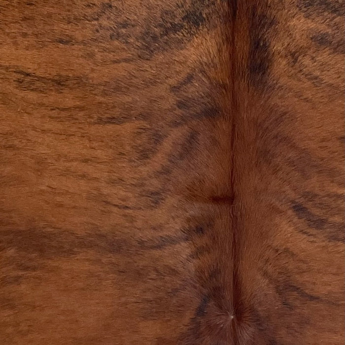 Closeup of this Colombian Brindle Cowhide, showing red brown with black, brindle markings (COBR1760)