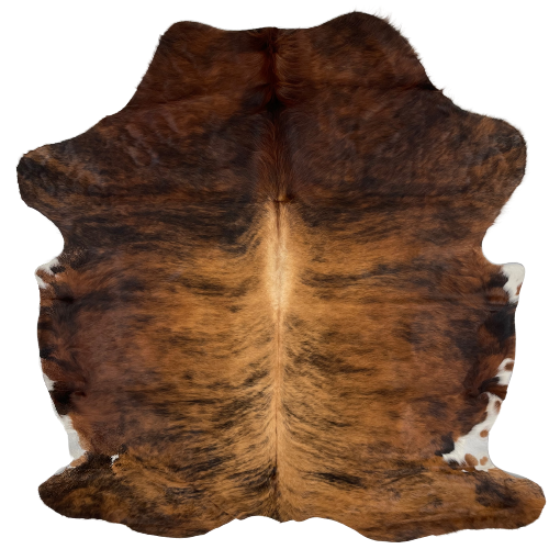 Reddish Brown and Black Colombian Brindle Cowhide:  reddish brown and black, with light brown and black down the middle of the back and on the spine, and white on part of the belly - 6'3" x 5' (COBR985)