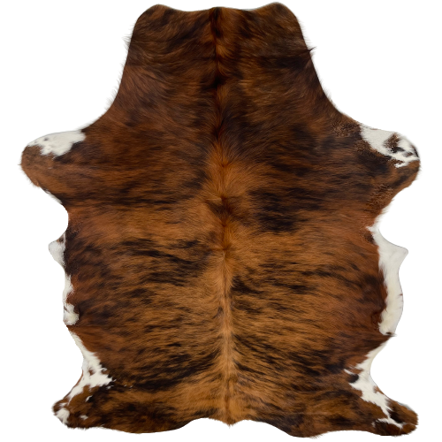 Red Brown and Black Colombian Brindle Cowhide:  red brown and black with white on part of the belly and shanks - 6'9" x 4'10" (COBR991)