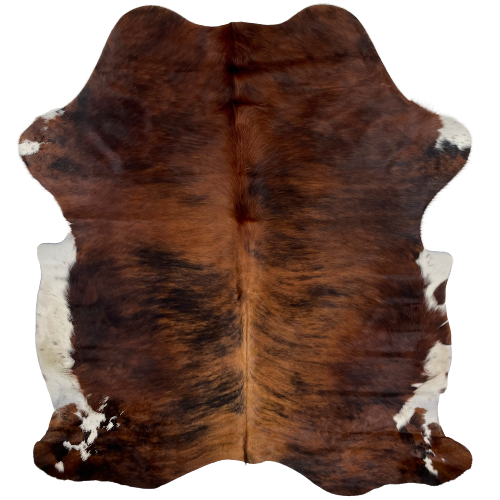 Brown and Black Colombian Brindle Cowhide:  brown and black, with white on part of the belly and shanks - 6'5" x 4'8" (COBR993)