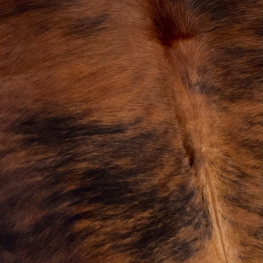 Closeup of this Colombian, Brindle Cowhide, showing brown and black (COBR993)
