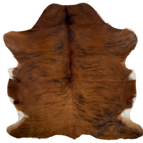 Red Brown and Black Colombian Brindle Cowhide, with a splash of white on the belly  - 6'3" x 4'11" (COBR994)