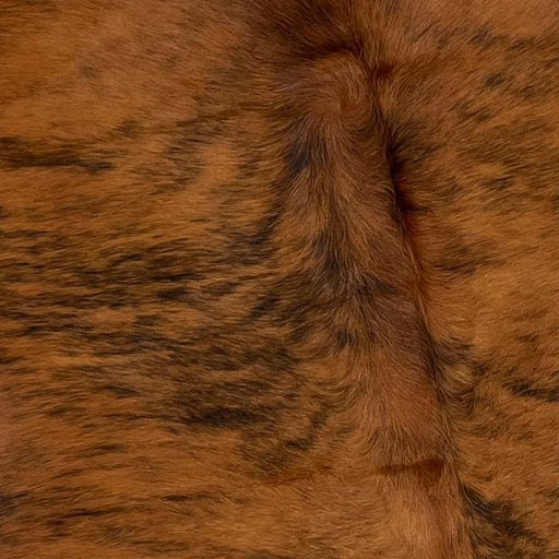Closeup of this Colombian, Brindle Cowhide, showing reddish brown and black (COBR996)