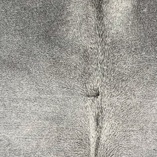 Closeup of this Colombian Cowhide, showing gray (COGR317)
