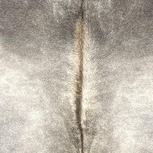 Closeup of this extra-large Colombian Cowhide, showing light gray and darker gray, and hints of brown down part of the spine (COGR318)