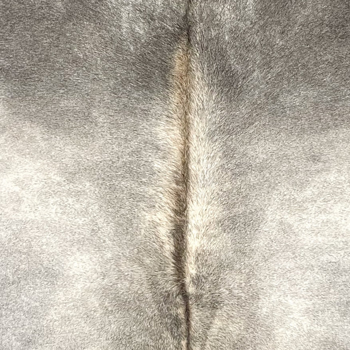 Closeup of this extra-large Colombian Cowhide, showing light gray and darker gray, and hints of brown down part of the spine (COGR318)